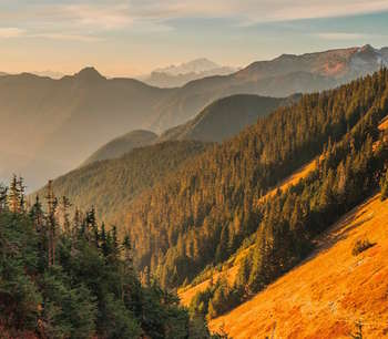 Mount Baker - Washington