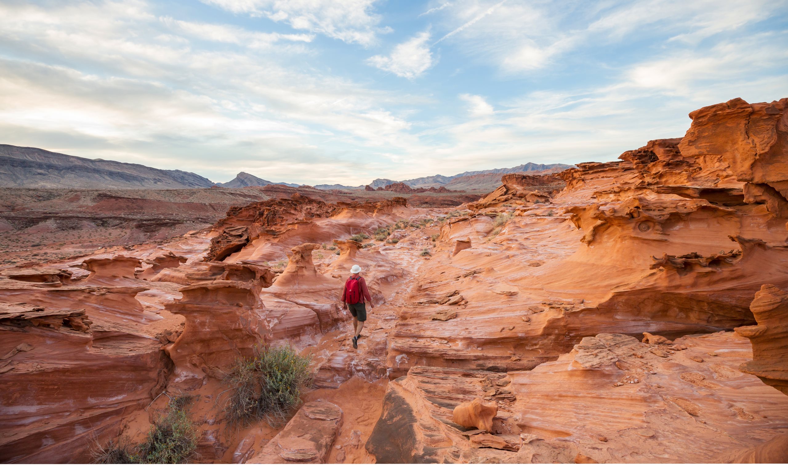 man in the desert