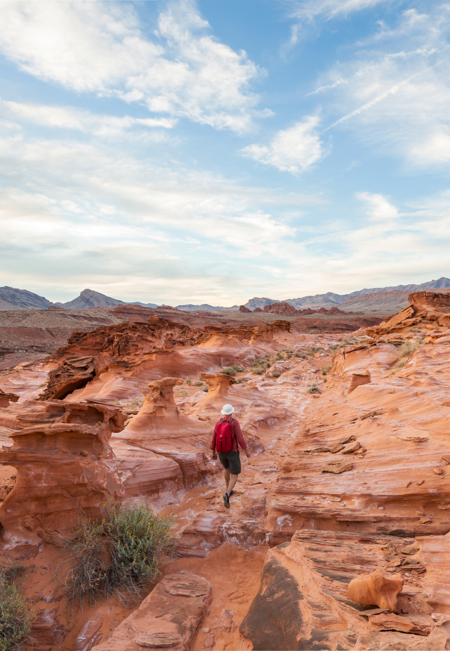 man in the desert