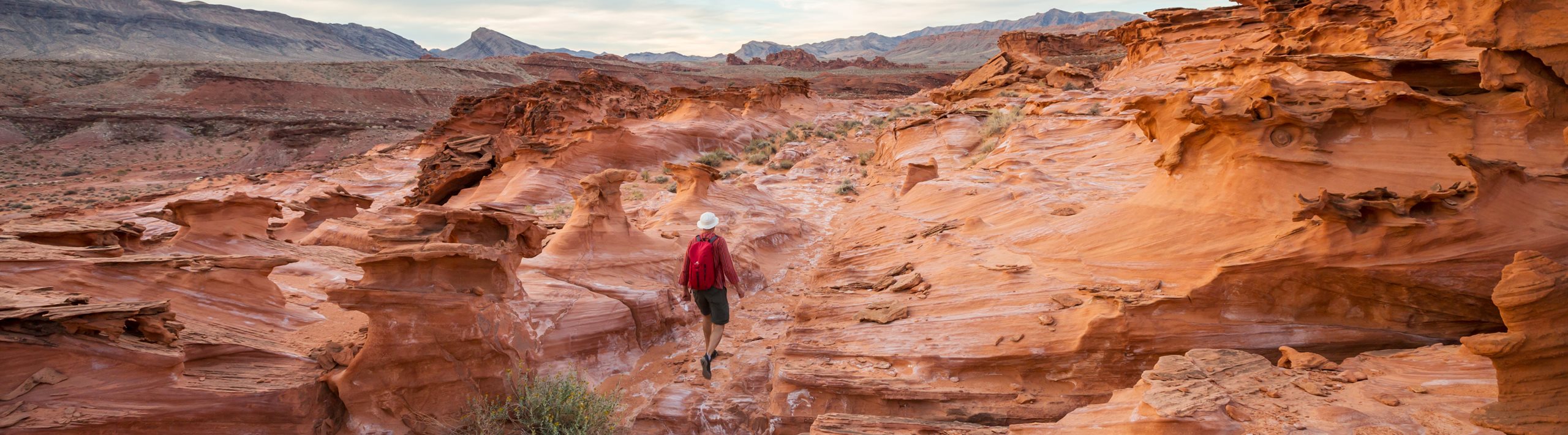man in the desert